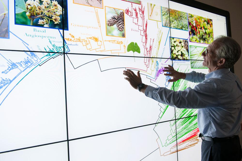 UFNews's tweet photo. Tree of Life, a new map of all 2.3 million named species, created by @UF and @FloridaMuseum http://t.co/gH09Ul7vAd http://t.co/XI9HsVPrPM