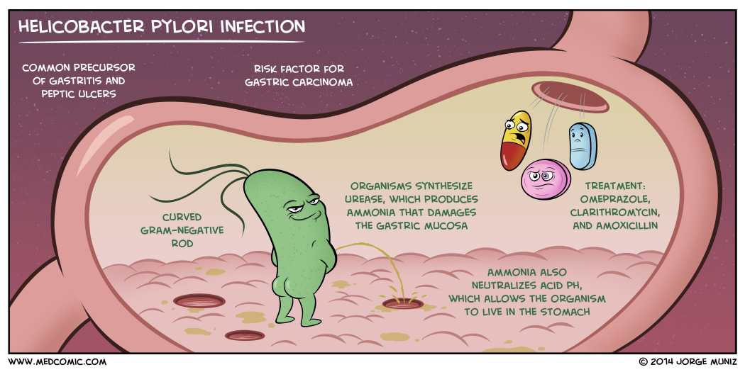 Helicobacter pylori sintomas diarrea