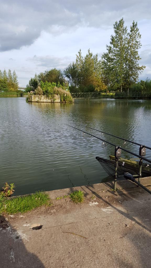 stebedford's tweet photo. Recent trip to Acorn Fishery http://t.co/NCLoTjpzQq