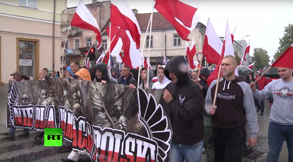 кто такие ультраправые. кто такие ультраправые. русские националисты. ультралевые и ультраправые. ультра право.