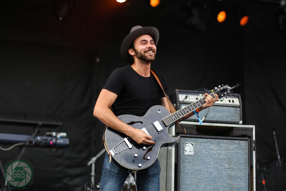 herbivore photography tweet media