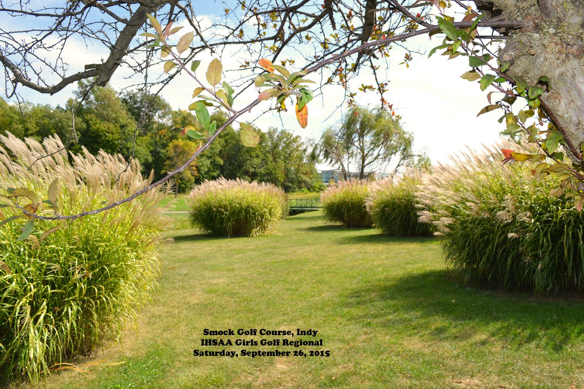 srmcclure's tweet image. Who will emerge from the IHSAA GGolf Regional on Sat @SmockGolfCourse Top 3 advance to STATE @girls_cggolf @IHSAA1