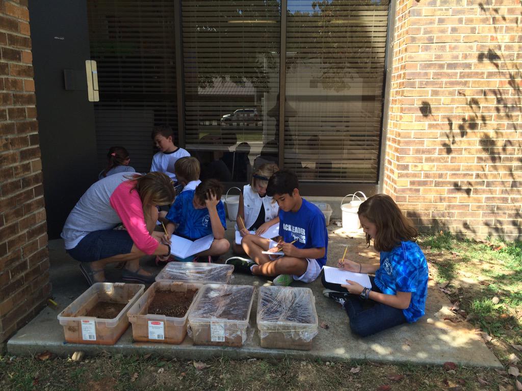 Scales Elementary tweet media