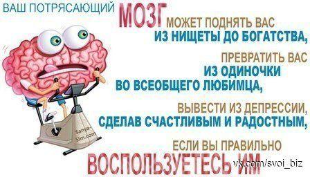 buchelow tweet picture