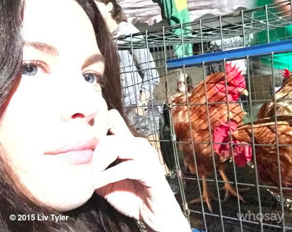 LivTyler's tweet photo. Night shooting in Texas #theleftovers my favorite ladies on set tonight were these beautiful little hens. 🐓 http://t.co/CFn82gy2yV