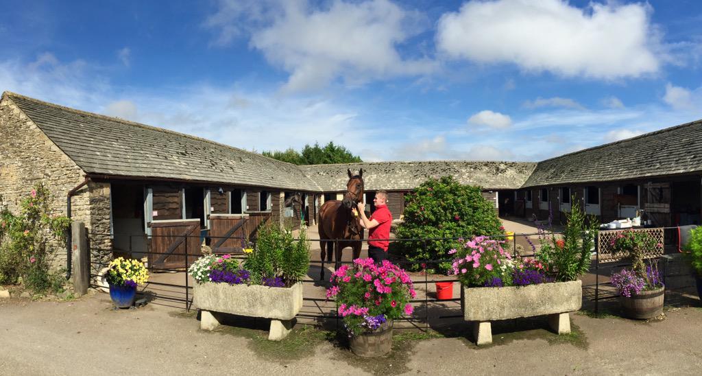 FOBRacing's tweet photo. Imposing, picturesque and unfailingly friendly. And that's just the trainer. The yard's great too #Horsehour http://t.co/uhvAfBENOp