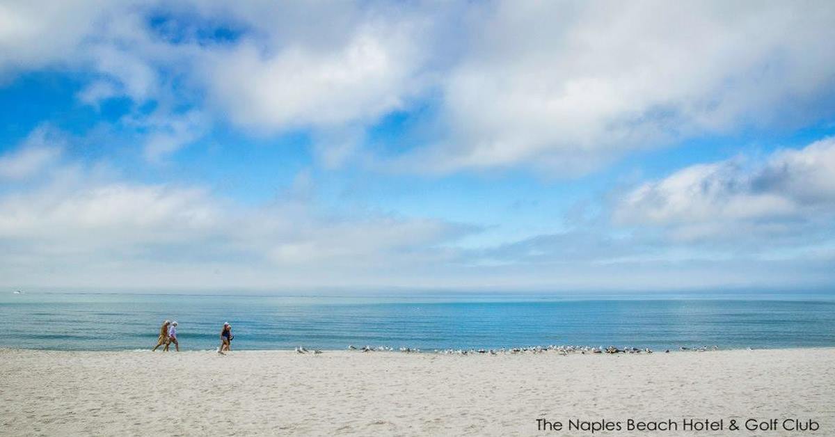 Naples Beach Hotel tweet media