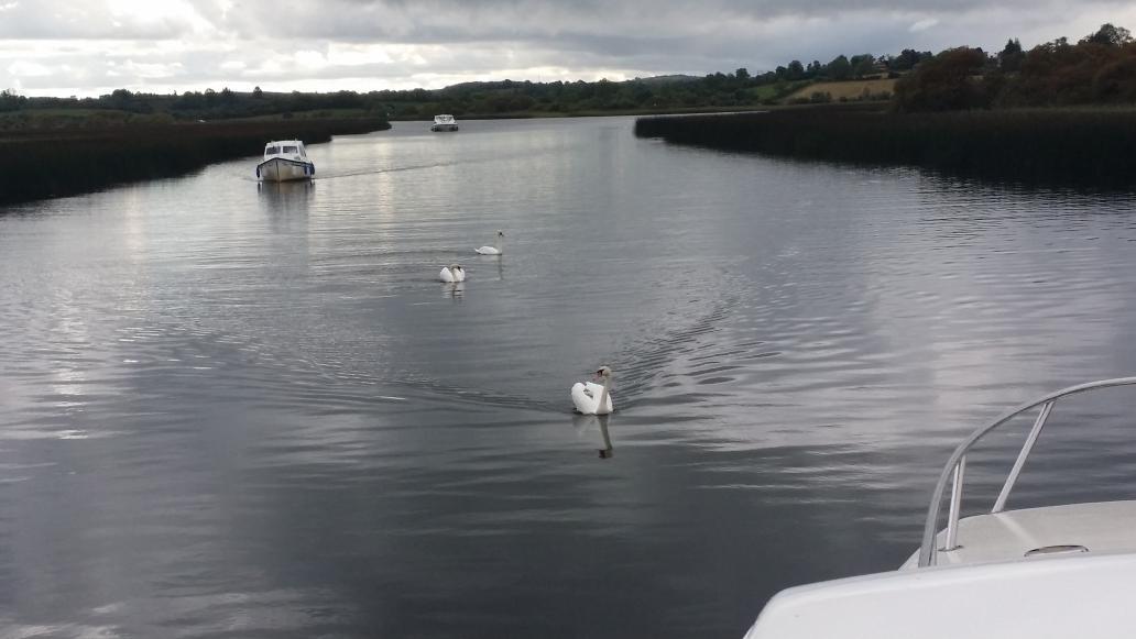 DiscovertheShan's tweet photo. Some traffic on the Shannon this weekend ! http://t.co/RrLCY8zPW5