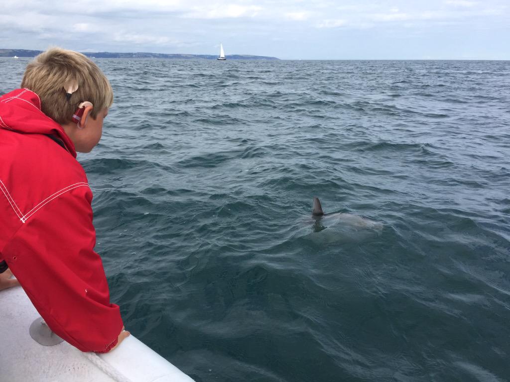 Alfie and me had a visitor while out in the boat fishing yesterday. A Sunfish.  Not that there was much sun.