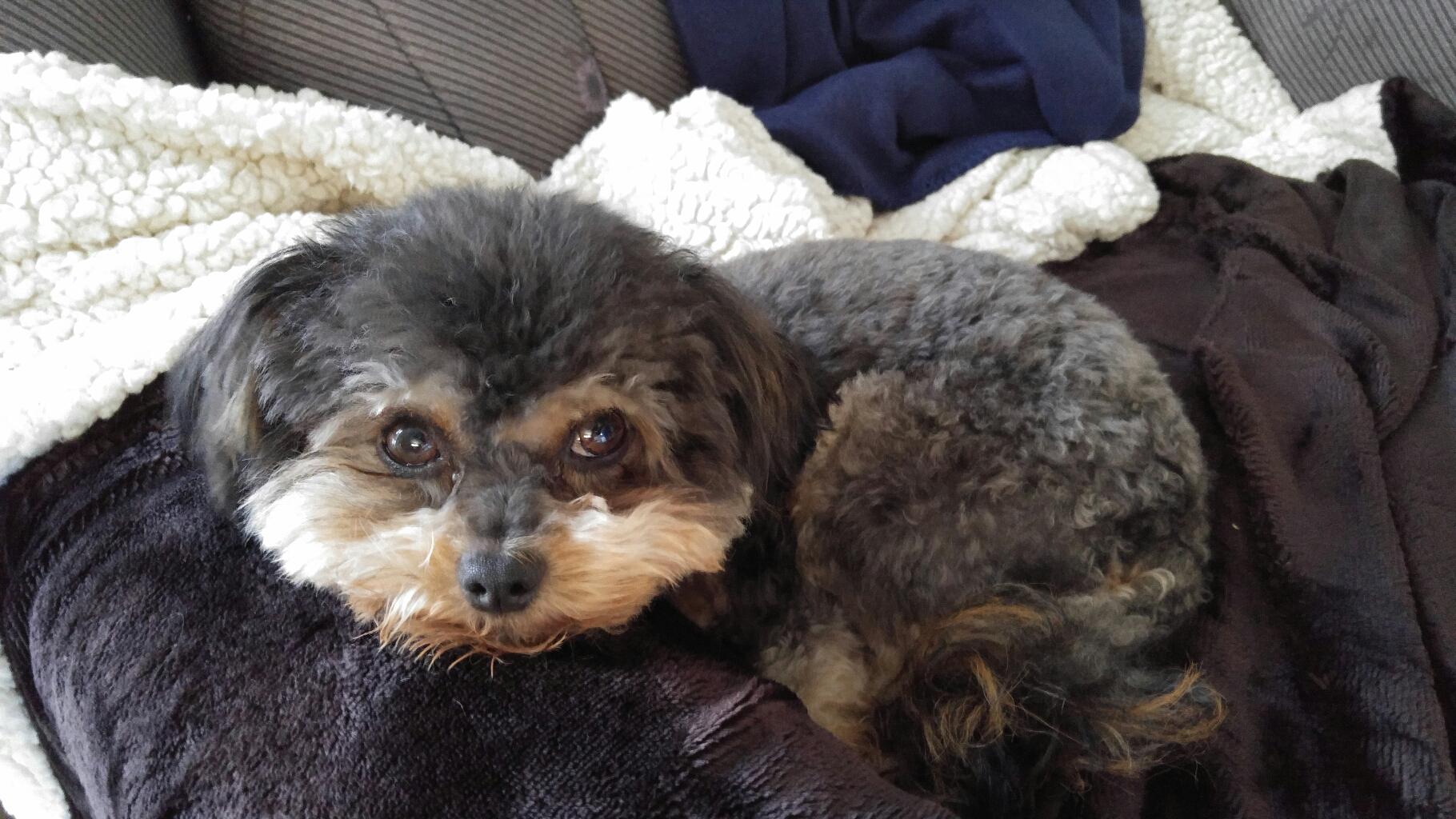  Bobo says happy birthday 
