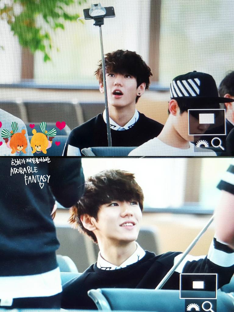 길 잃은 유기견 주인 찾아주던 아이돌.jpg (인성갑인듯ㅠㅠ) | 인스티즈