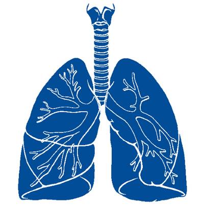 DirectorioSalud's tweet photo. @UErespiratorios UER Unidad de Estudios Respiratorios “Caracas” http://t.co/fZpIQuwNSc http://t.co/ntjoCwCsvc