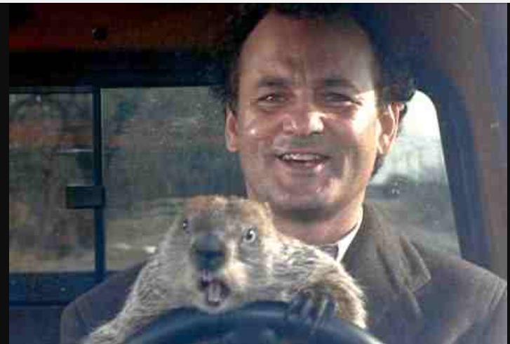 Happy Birthday Bill Murray  
