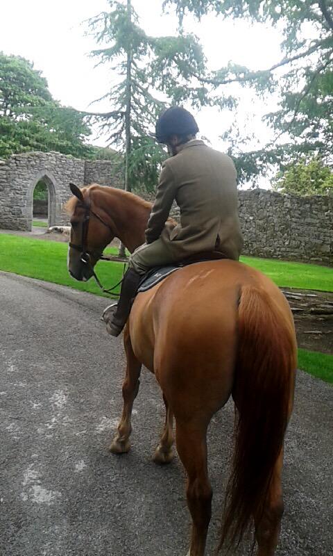 FinnertyFiona's tweet photo. Discussing the plan of Action π #Apollo π #Tweed #IrishHunter π΄ @tomclesham @AshfordOutdoors @ashfordcastle http://t.co/lIEv4D35EL