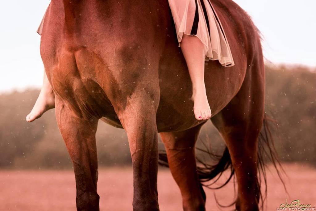 EQPpics's tweet image. Post by leaf_ph0t0graphy: Details... ♡

#horsesofinstagram #pferdefreunde_post #pfprpost #evwtd_best #europaspferde…