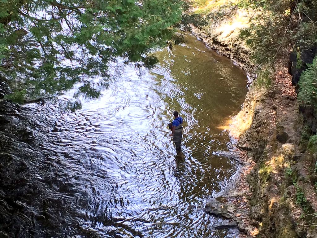 eloraguy's tweet photo. Enjoying the trails - Good weekend walk along the Elora Gorge. @ELORAGORGECA @grandriverca http://t.co/YK28d9GI6o