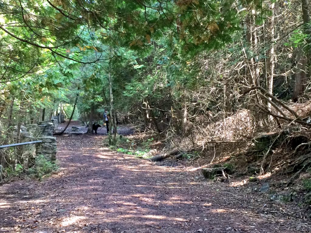 eloraguy's tweet photo. Enjoying the trails - Good weekend walk along the Elora Gorge. @ELORAGORGECA @grandriverca http://t.co/YK28d9GI6o