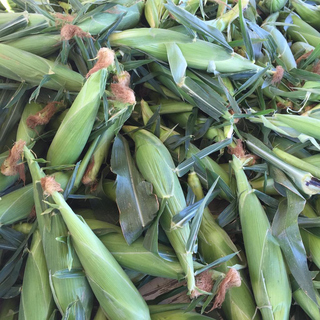 lifeisaheadtrip's tweet photo. Aw shucks. You can still get roadside corn in Utah. Thanks Bubba. Too bad wine isn't $3 a dozen. #Ain'tLikeItUsedToBe http://t.co/B2FEAGCd5O
