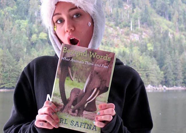 Miley Cyrus Updates tweet media