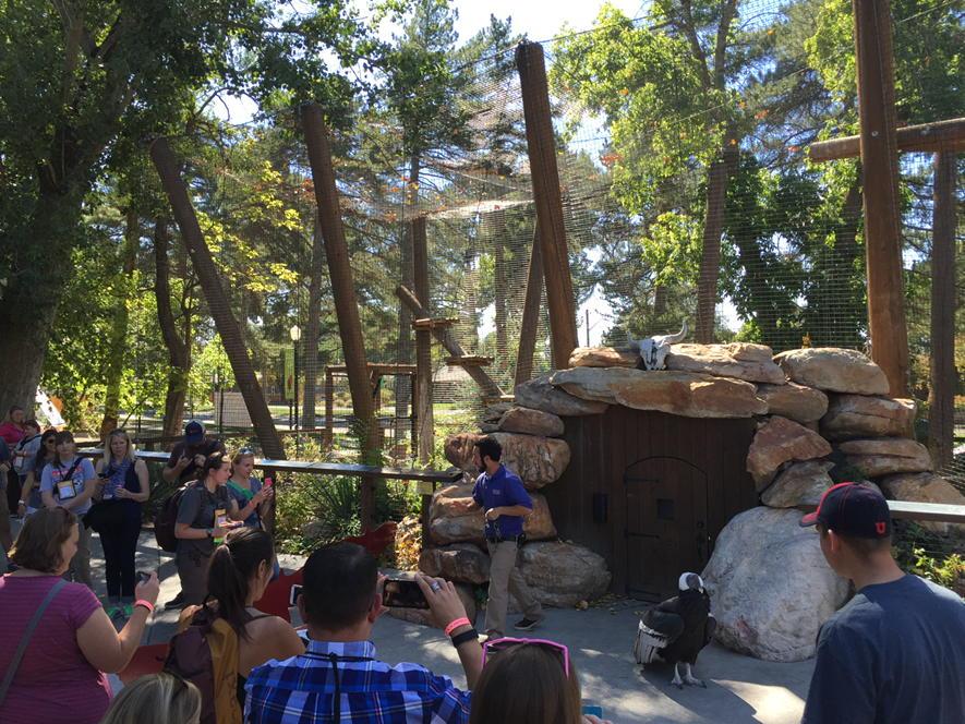 structuralds's tweet image. Fun to see everyone interacting today at one of the exhibits we designed @TracyAviary. #AZA2015