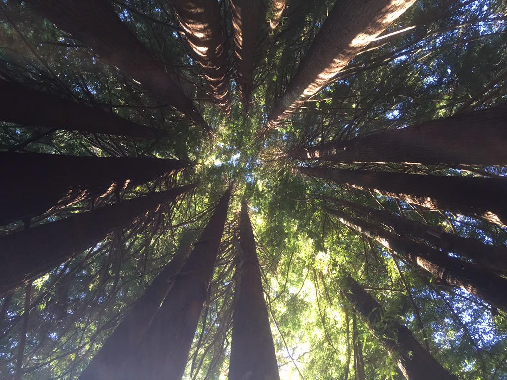 Get Lost cause you never know what you may find