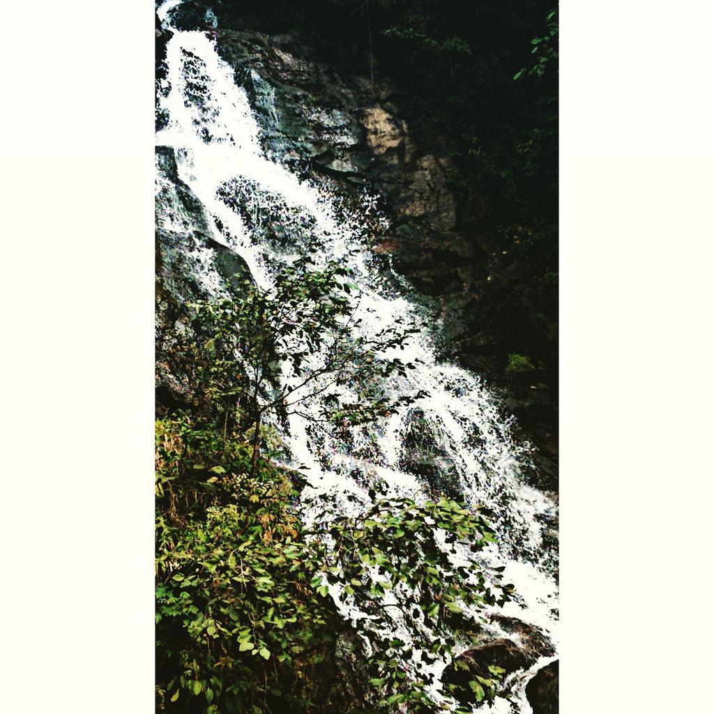 _Speakeasee_'s tweet photo. Falls http://t.co/YIBjN5ybD0
