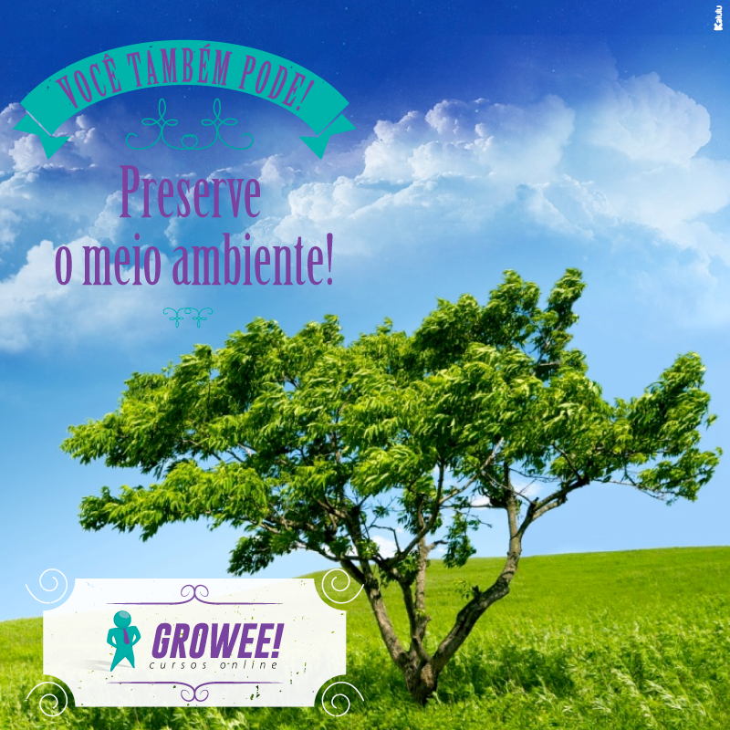 GroweeEduc's tweet photo. Junte-se a nós e cuide do meio ambiente: http://t.co/qmHtyWplmq #Growee #BlogGrowee #EAD #Educacao #DiaDaArvore http://t.co/3ar6CTCkbq
