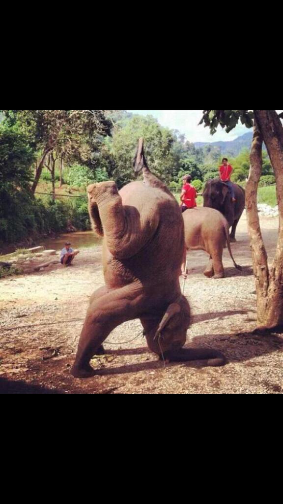 Kanka ayrılmışlar mı 😲