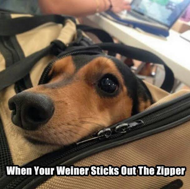 staeven_frey's tweet photo. DONT YOU HATE
When your wiener pops out unannounced? http://t.co/q0LfxLOpzc
