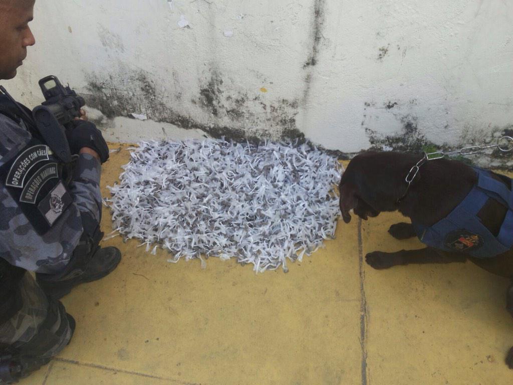 upprj's tweet photo. Em operação conjunta com a #UPPSãoCarlos, o pessoal do @BAC_CANIL apreendeu 3230 trouxinhas de maconha nesta segunda. http://t.co/dgZjXYHUAh