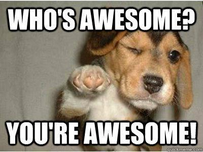 MillionDogsClub's tweet photo. Join the #MillionDogsClub today and be awesome!
http://t.co/SE4Mr10sp9 ->pick empty square->checkout
#dogs #rescue http://t.co/ftkR2cf09l