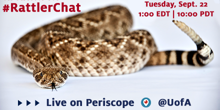 uarizona's tweet photo. Join us tomorrow at 10am PDT for our final episode of #RattlerChat http://t.co/ZSyh4CnPcT