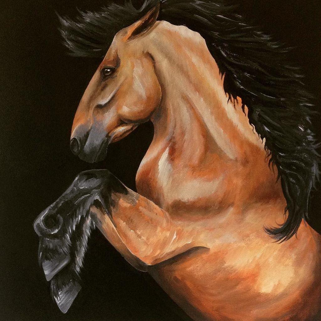 Post by charchar_peta: New painting #sketchbook #art #painting #paint #equestrian #equine #rearinghorse #dressage #…