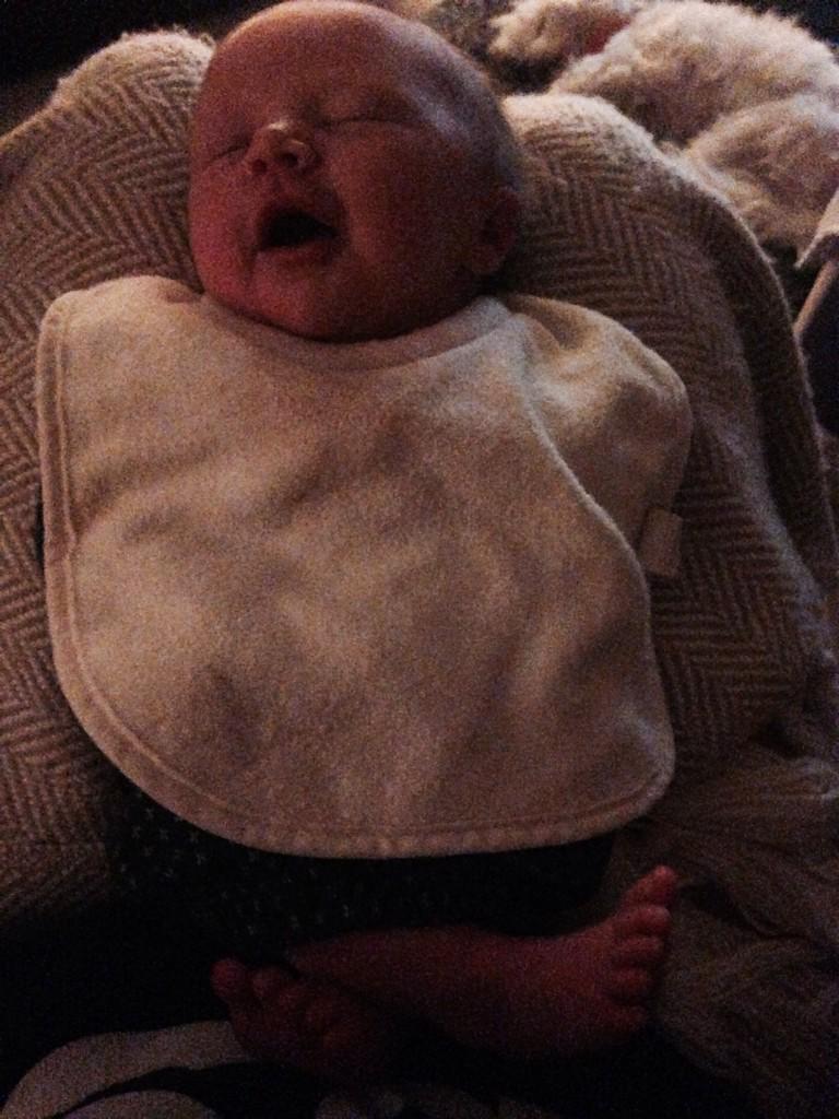 emilyloidwilkins tweet media