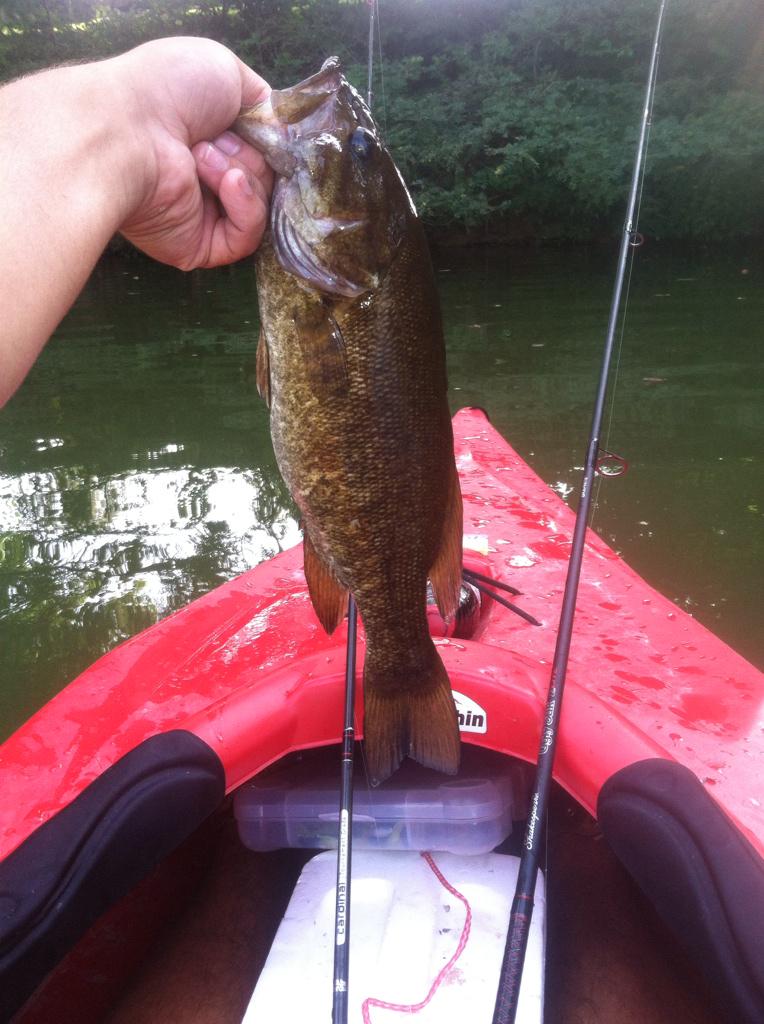 FishingMichiga1's tweet photo. Smallmouth bass. On a texas rig craw http://t.co/6MPJN4QJks