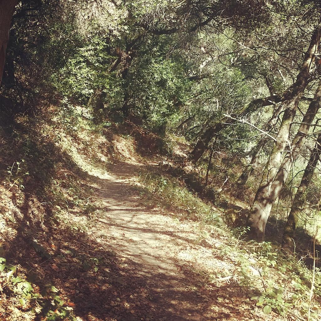 3DLILA's tweet photo. Steep hills + record heat = #runhike for Lila. Running is my zen so I guess it's the equivalent of hot yoga. #belila2 http://t.co/laegqBQ9lg