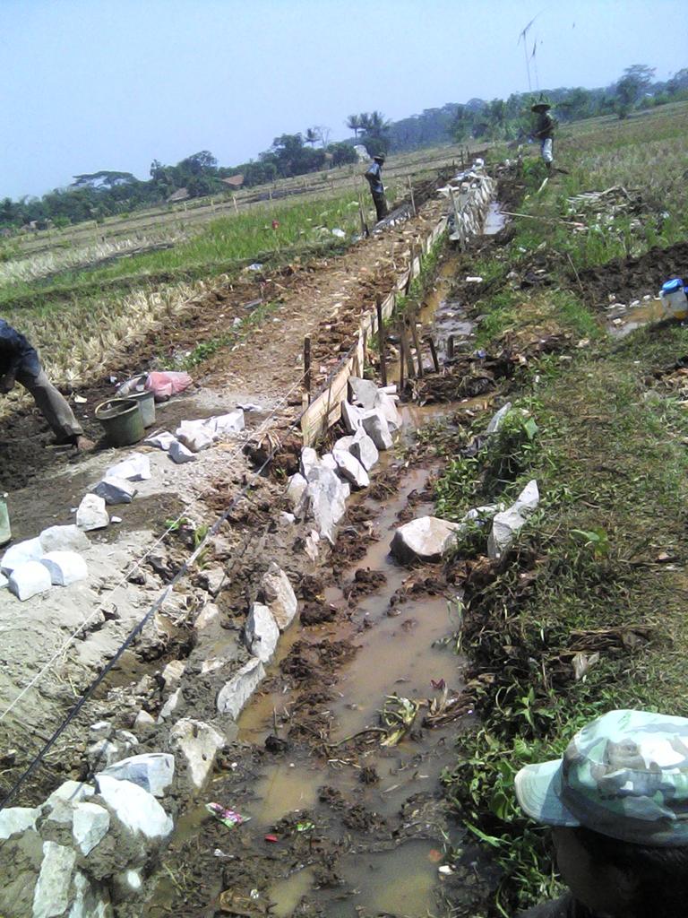 asepiding11's tweet photo. Pasawahan anyar mapag jalan anyar http://t.co/7pK9iv3aJN