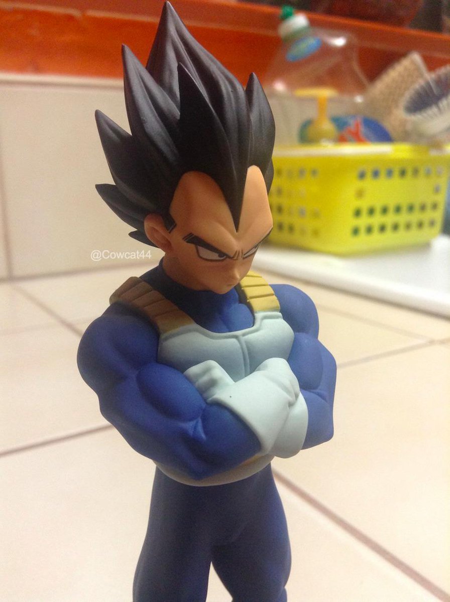 BrandiMorrow44's tweet image. Also added this beauty to my Vegetable collection. Photos really don’t do him justice. #vegeta #grumpymonkey