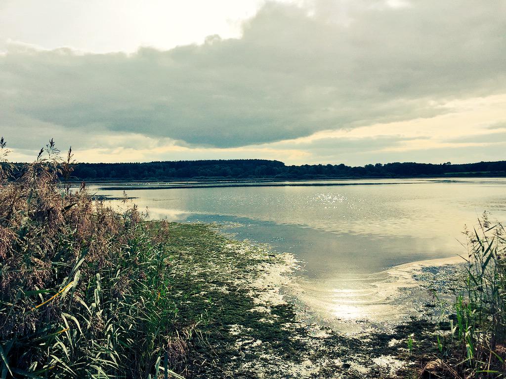 dominikeulberg's tweet image. 