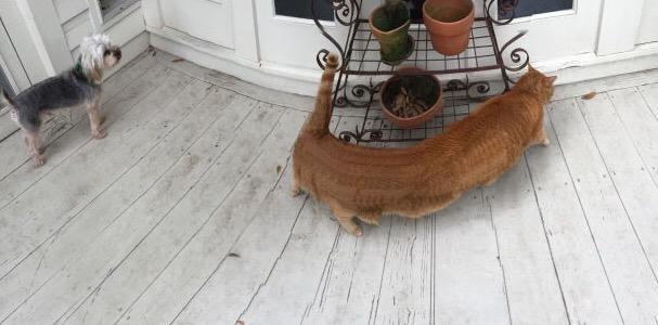 PanoramaFails's tweet photo. #PanoramaFail http://t.co/Kgc4niGN7e
