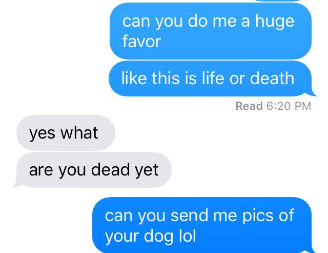 elfbarconsumer's tweet image. 911 I have an emergency