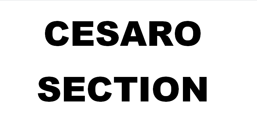 NXTFanNation's tweet photo. RT If You're Apart Of The #CesaroSection! @WWECesaro #RAW http://t.co/b3HnEvCA5r