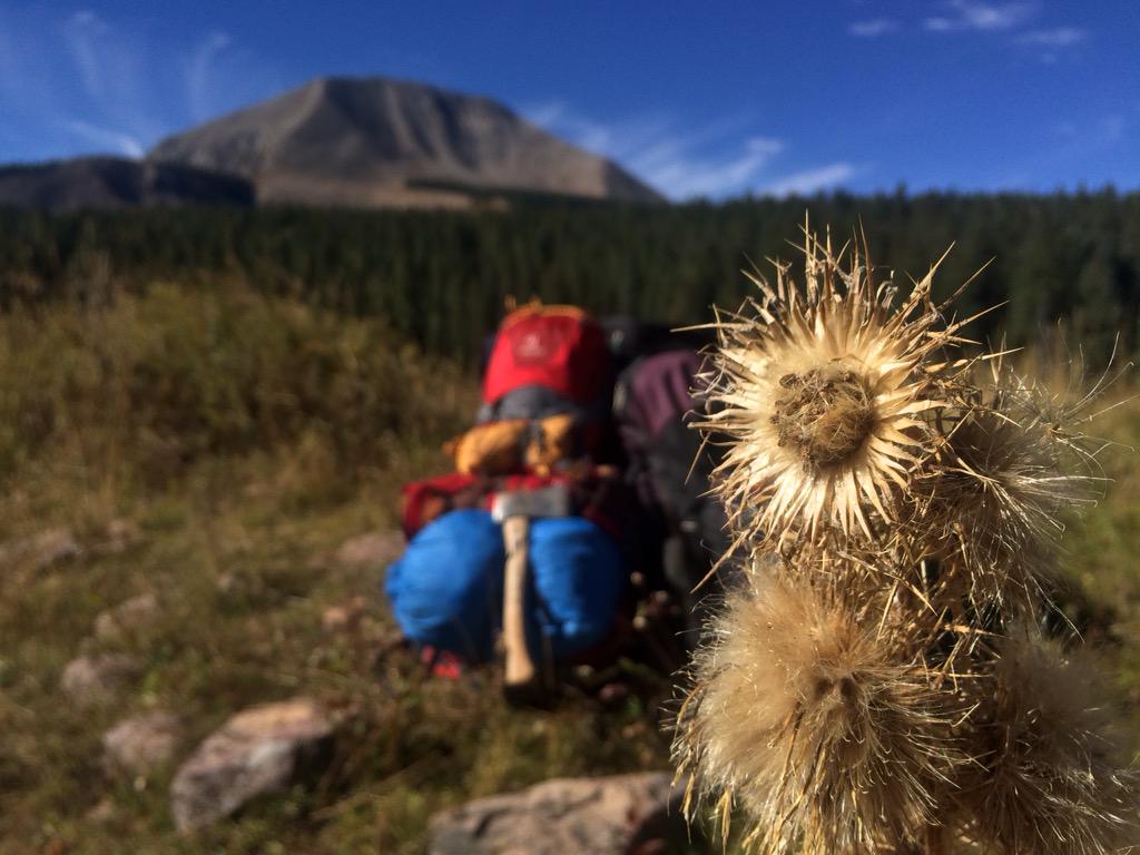 AustinAubry's tweet photo. All it takes is a good mountain trek to reset your perspective. #friends #backpacking #ospreypack #moablife http://t.co/yvPueZ3GwS