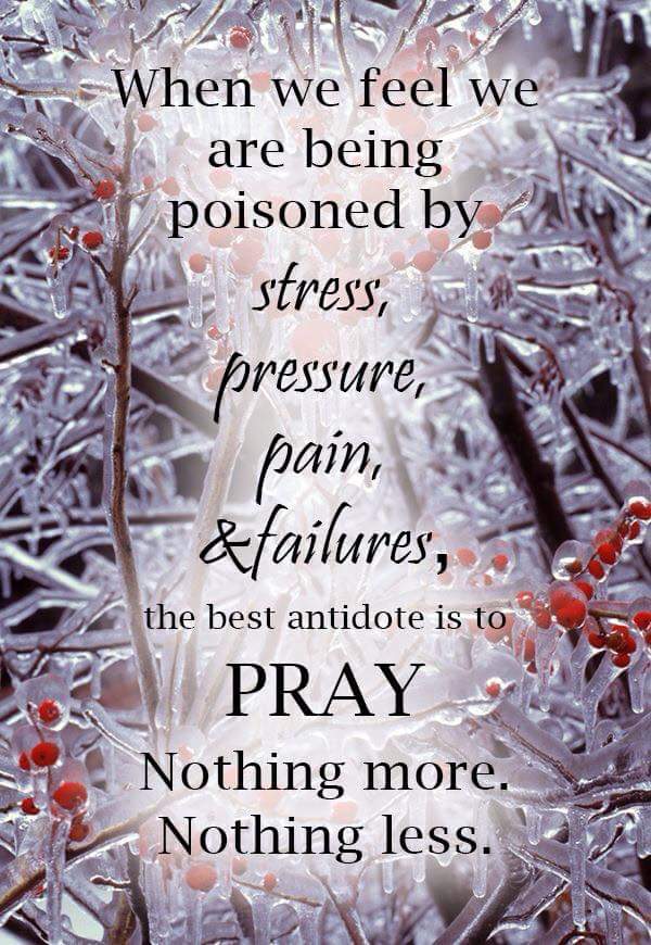 NatalPinky's tweet photo. @JesusIsOurShield @GodIsFaithfuI @WhatWeNeedIsHim @ILoveYouJesus http://t.co/s0xVgteEdI