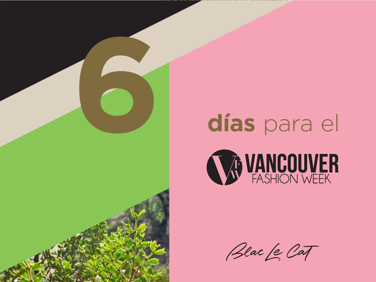 blaclecat's tweet photo. @blaclecat #VanFashionWeek @VanFashionWeek #blcvanfashionweek http://t.co/PoWAYZsRdI