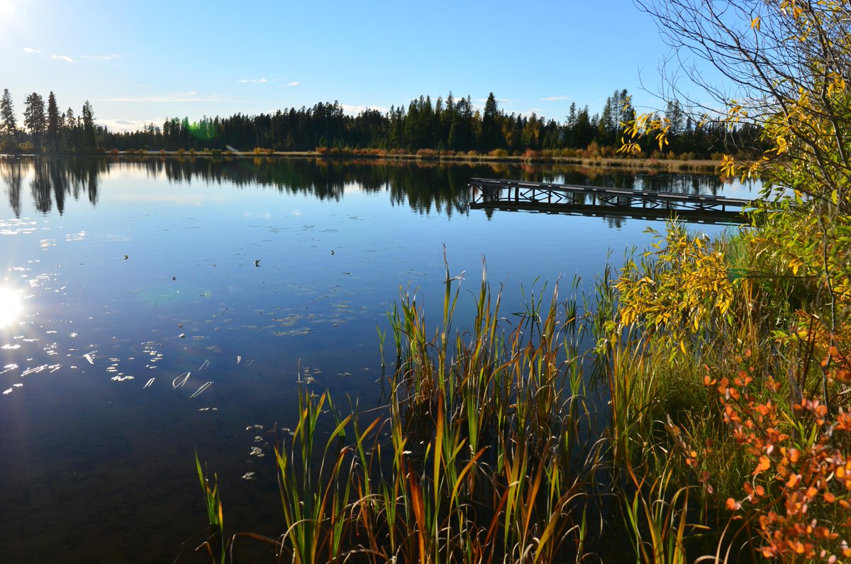 WenDavies's tweet photo. The water at Twin Lakes was like glass tonight.  #gloriousfall #explorealberta @ClearwaterCnty @AMATravel http://t.co/A09pk5N2Ia