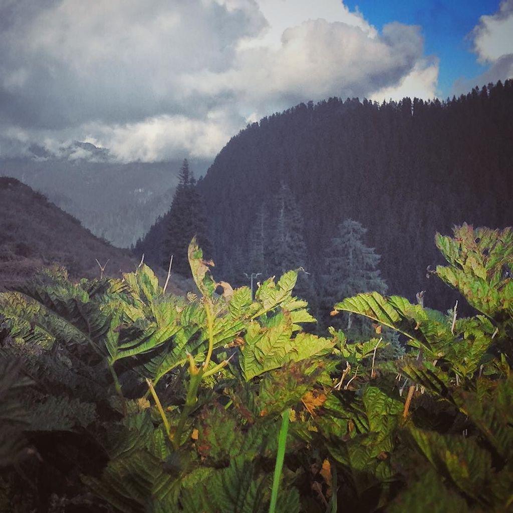 Vala920's tweet photo. #snapseed #grousemountain #halfsun #vancouver #northvancouver #mountains  lil bits of suns… http://t.co/8pzIjcf2ja http://t.co/TV761NNK3U