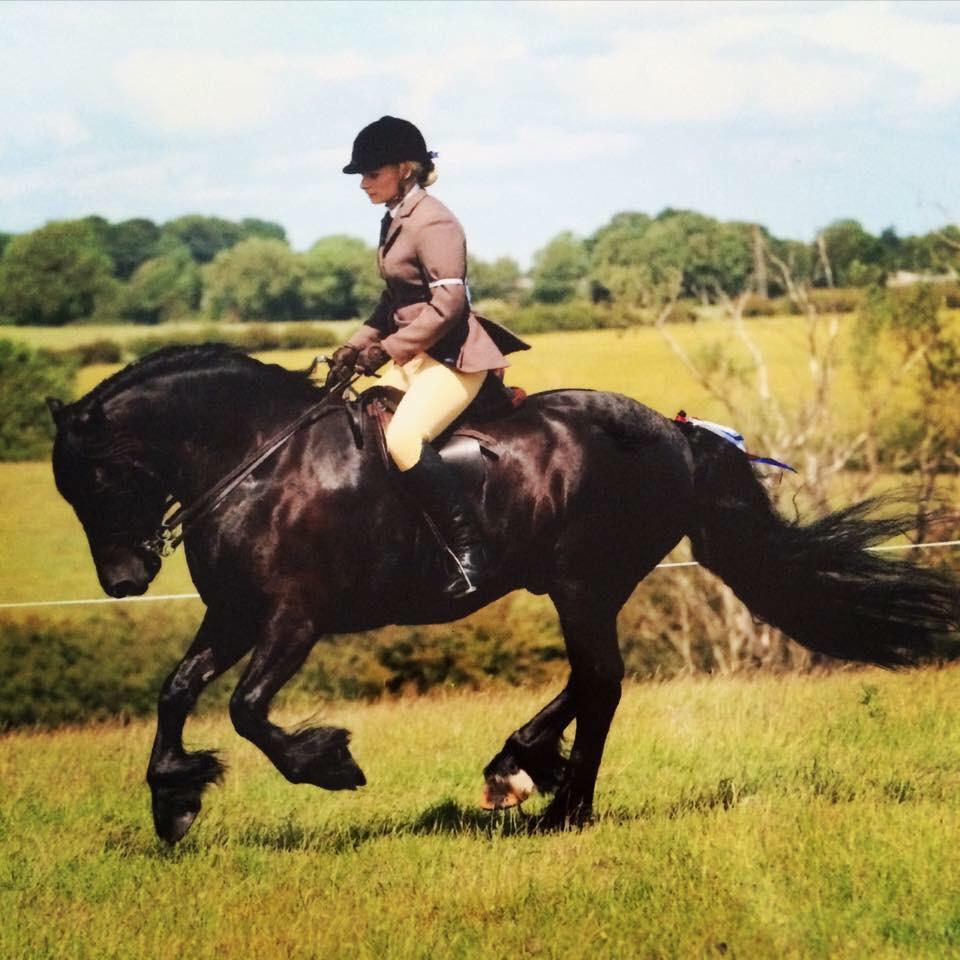 Sandy_Mawson's tweet photo. Vindomora Sweet William qualified for @hoystweet #proud #hoys http://t.co/nzD6rUDbNR