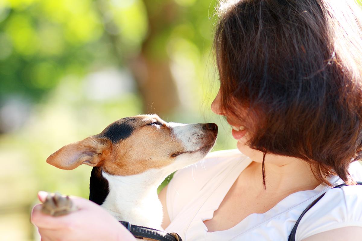 Your opinion matters! Help us to shape HighPaws in a way that will benefit you and your dog: ow.ly/SvtRo