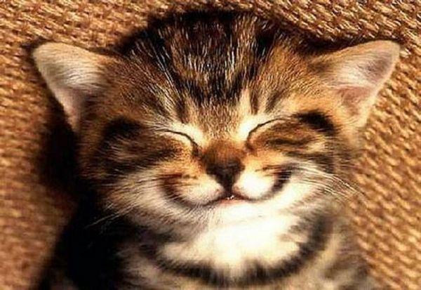 AlesyaD's tweet photo. Даже от небольшой улыбки в организме обязательно дохнет хотя бы один маленький микроб! http://t.co/YPDqsIYUtI